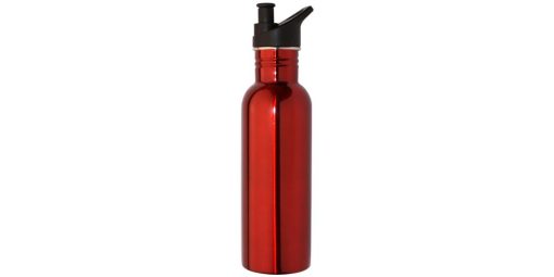 Stainless Steel Sports Bottle