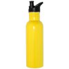 Stainless Steel Sports Bottle