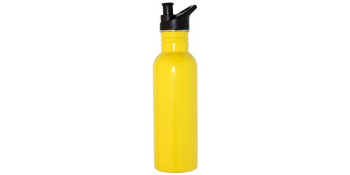 Stainless Steel Sports Bottle